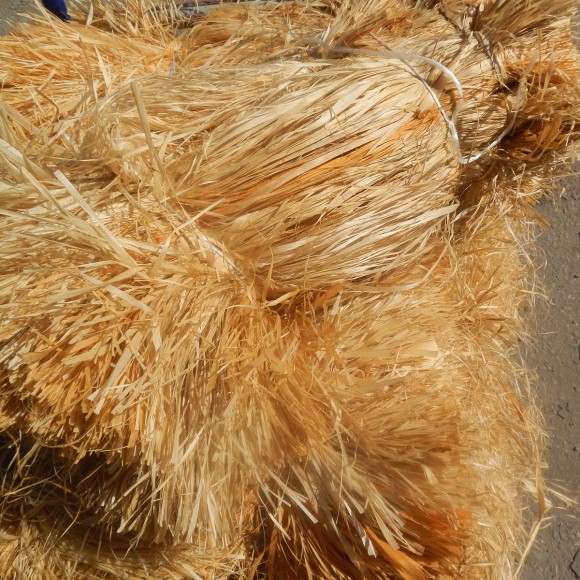 Лыко липовое чесаное. Длина 60 см (100 гр)