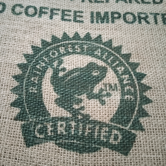 Настенное панно 50х80 см из мешковины "Лягушка"