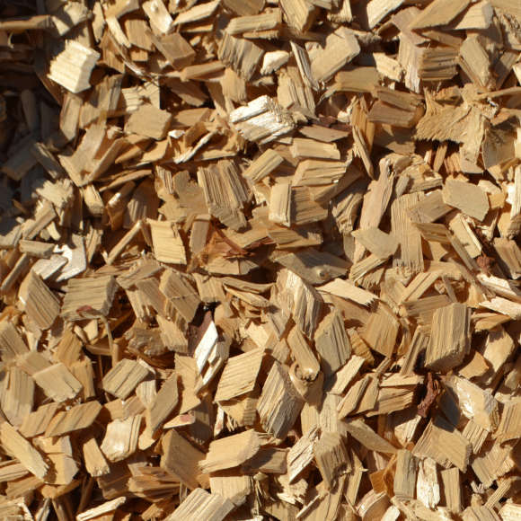 Щепа ольховая