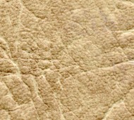 Комплект для обивки дверей Бежевый