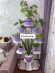 Высокая деревянная подставка для цветов Хризантема на 8 горшков (на роликах)