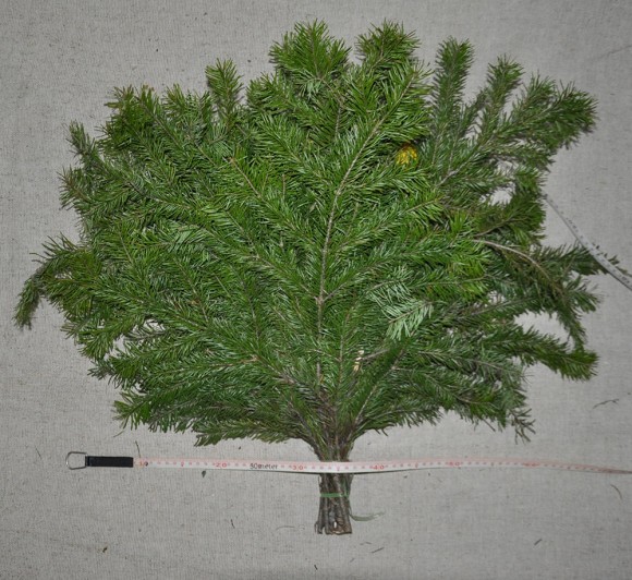 Веник для бани пихтовый Веник для бани пихтовый