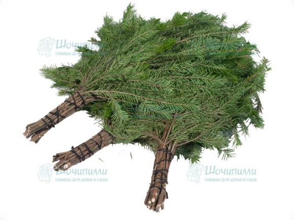 Веник для бани пихтовый Веник для бани пихтовый