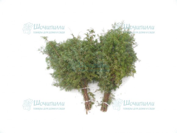 Веник для бани можжевеловый Веник для бани можжевеловый