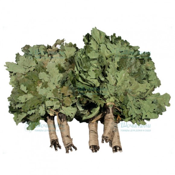 Веник дубовый с джутовыми ручками (высший сорт) Веник дубовый с джутовыми ручками (высший сорт)