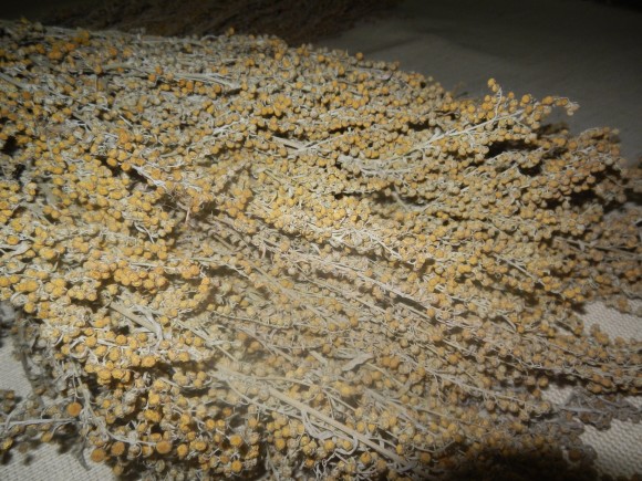 Веник из полыни